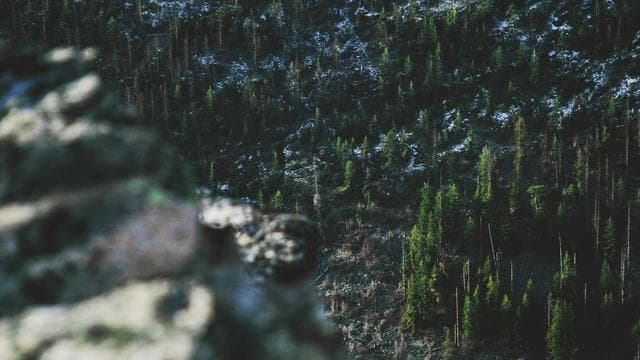 Python for Data Science