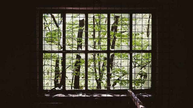 React & Next.js Mastery