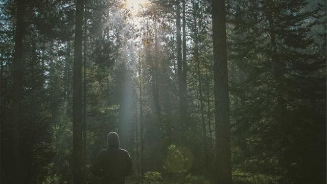 UI/UX Design Fundamentals