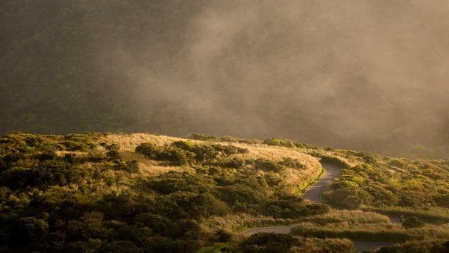 Complete Web Development Bootcamp